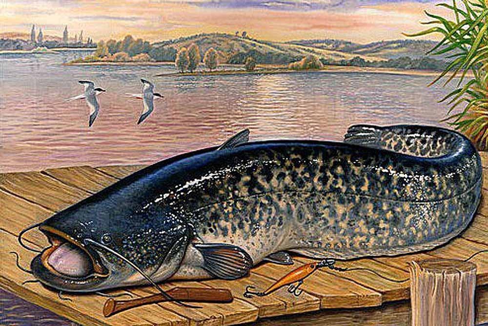 С днём рыбака!