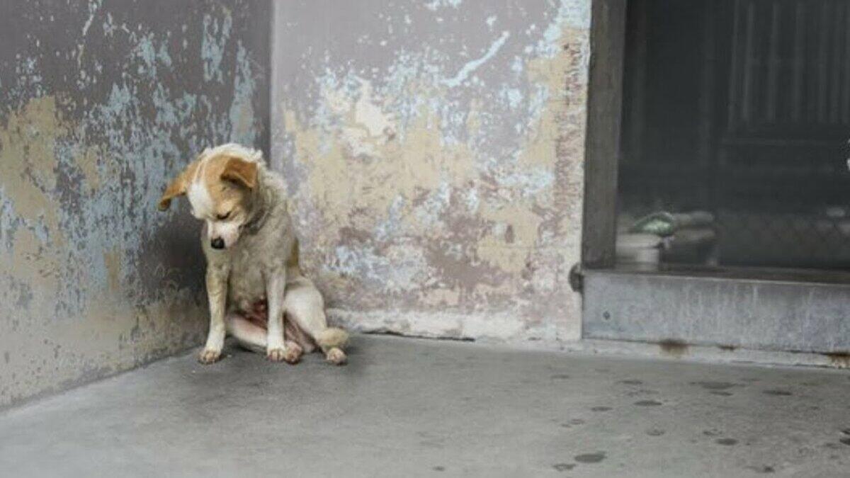 Такая участь