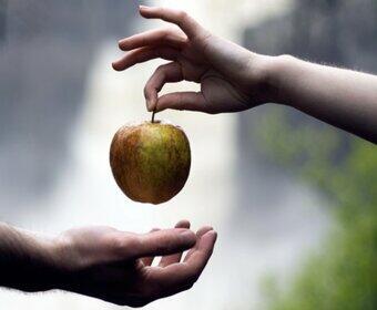 Введение во Грех