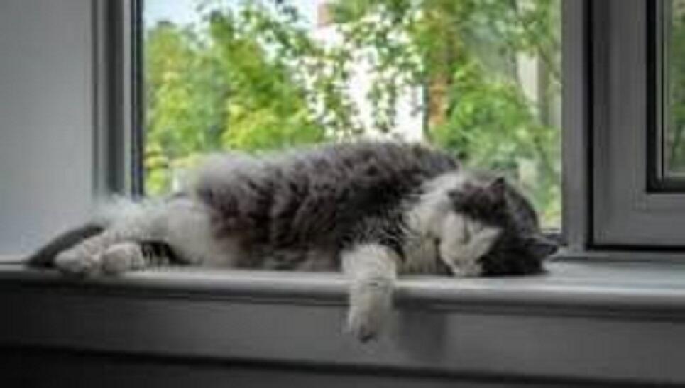 СТИХИ ДЕТЯМ_8