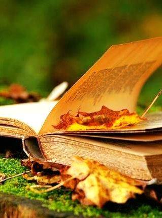 Память страницы перелистает