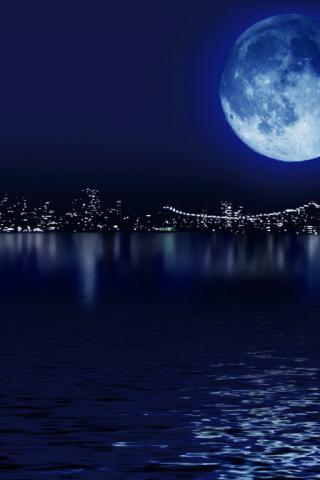 У тихой воды