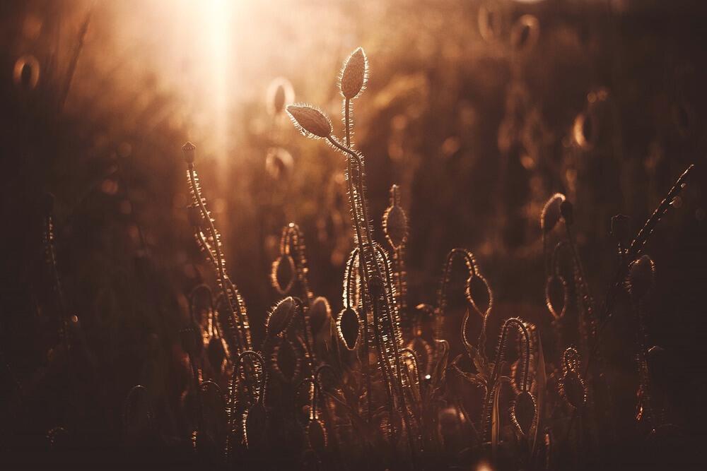 "Живу" (21.08.2021)