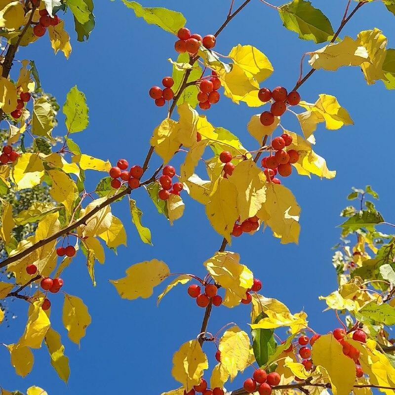 Замечательно 