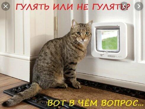 Вот так живу.