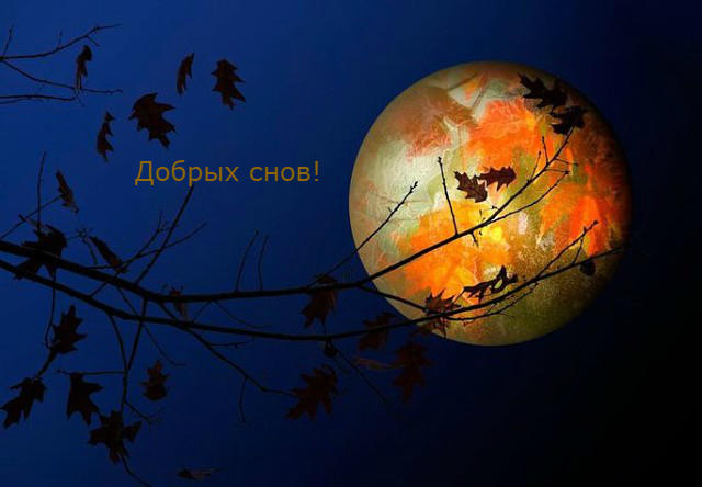 Спокойной ночи!