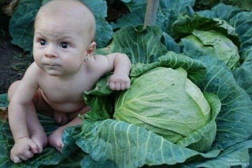 ТО ЧТО ПРОДЛЕВАЕТ ЖИЗНЬ...