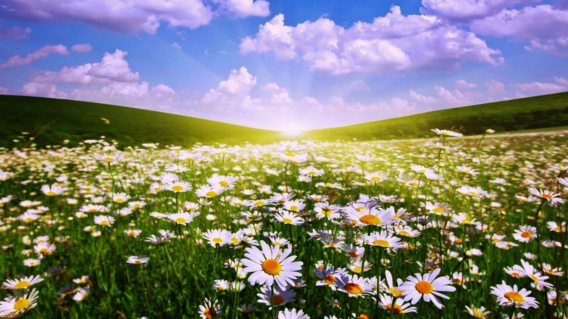 Случаем ли, долею, волею небес...