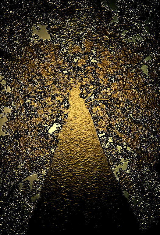 Шёлковый путь