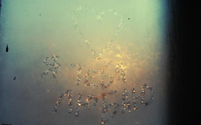 "Шутница - белая метель" (12.12.2015)