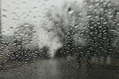 Впусти мятежницу. Открой ей двери