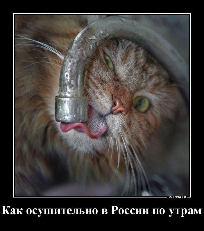 Синдром " не осень"