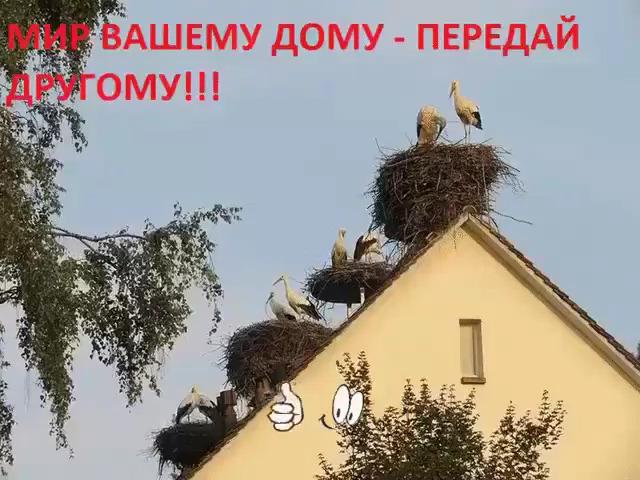 Передай скорей другому.