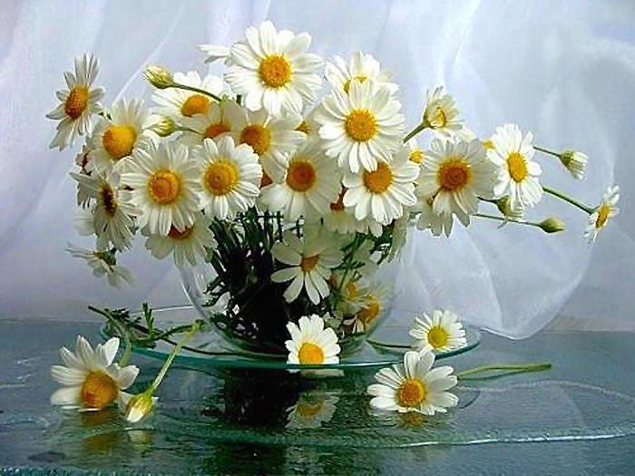 Любовь - это, все же, прекрассно.