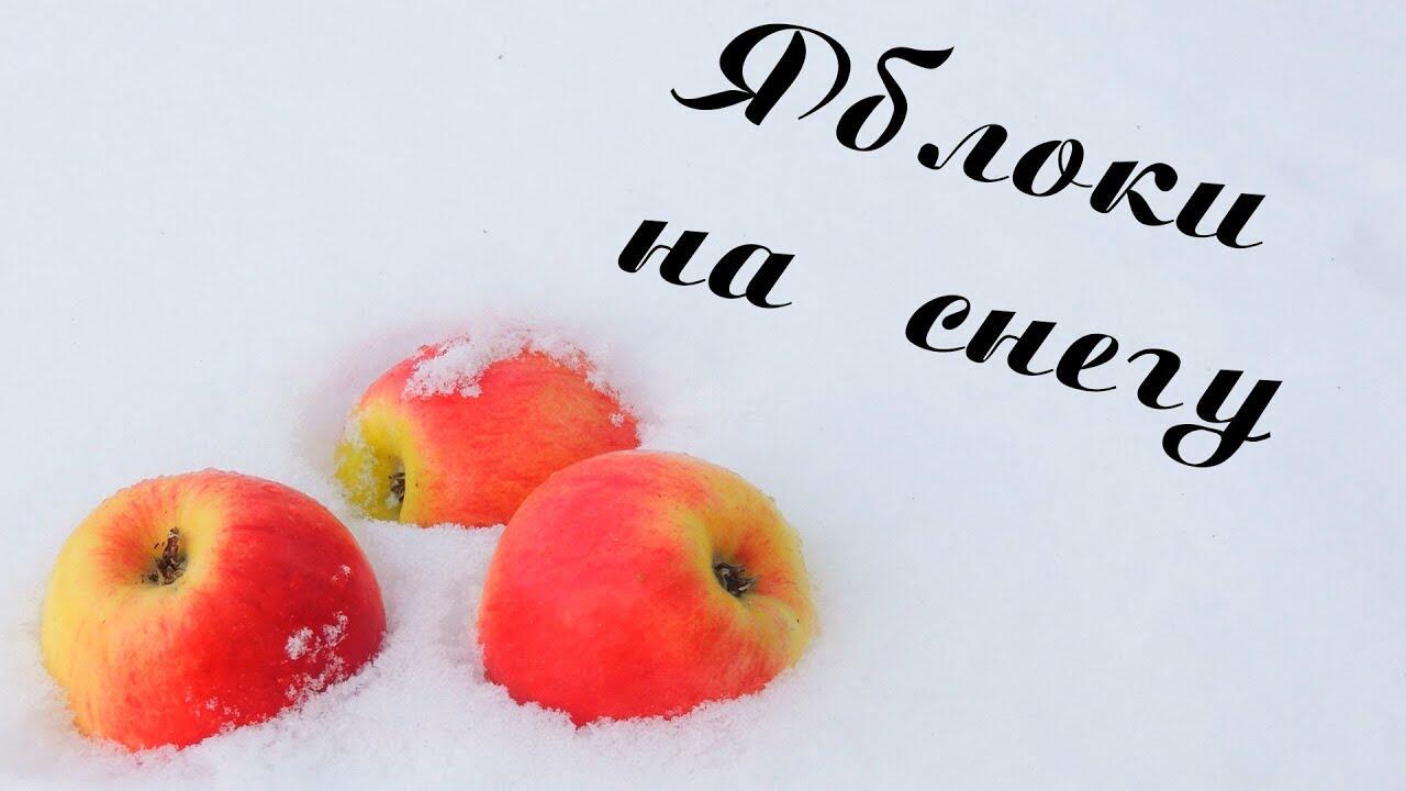 ТАРЕЛКА С ФРУКТАМИ - (яблоки)