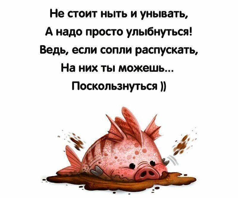 Никогда не унывай. Стихи не падать духом. Открытки не унывать. Не унывай стихи. Никогда не унывала не унываю.