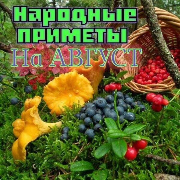 Народные приметы 1 августа