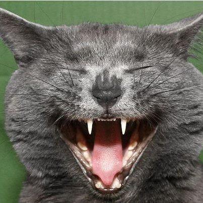 "нехороший человек" 14.09.07.