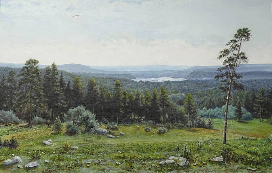 Лесные дали