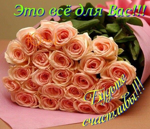 ЗВЕЗДА УДАЧИ И ЗАПАХ РОЗЫ