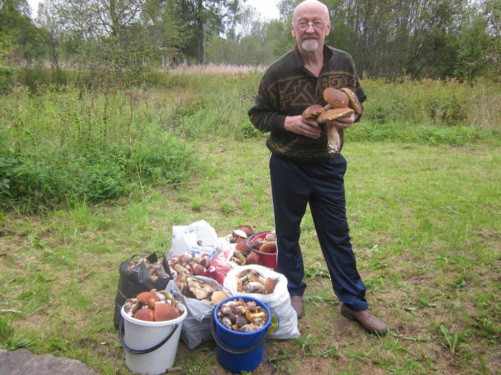 "красивая жизнь"