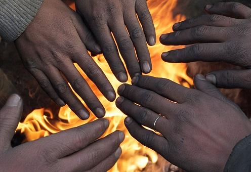 Священное животное