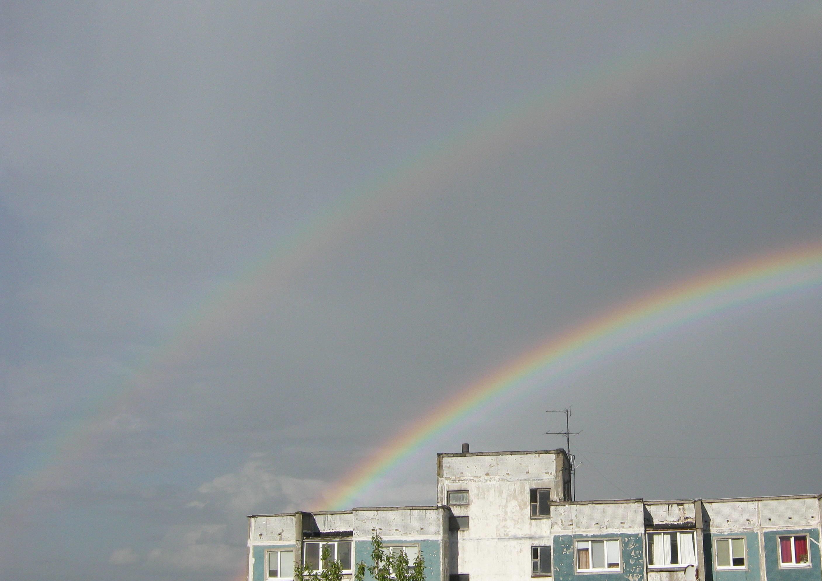 МОЛОДЫМ ПОЭТАМ