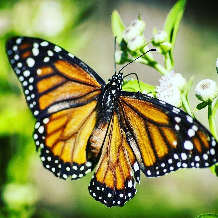 ТЕПЛО КАЗАЛОСЬ БЕСКОНЕЧНОЕ