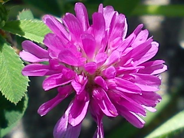 Притчи, глава 27 - перевод с иврита