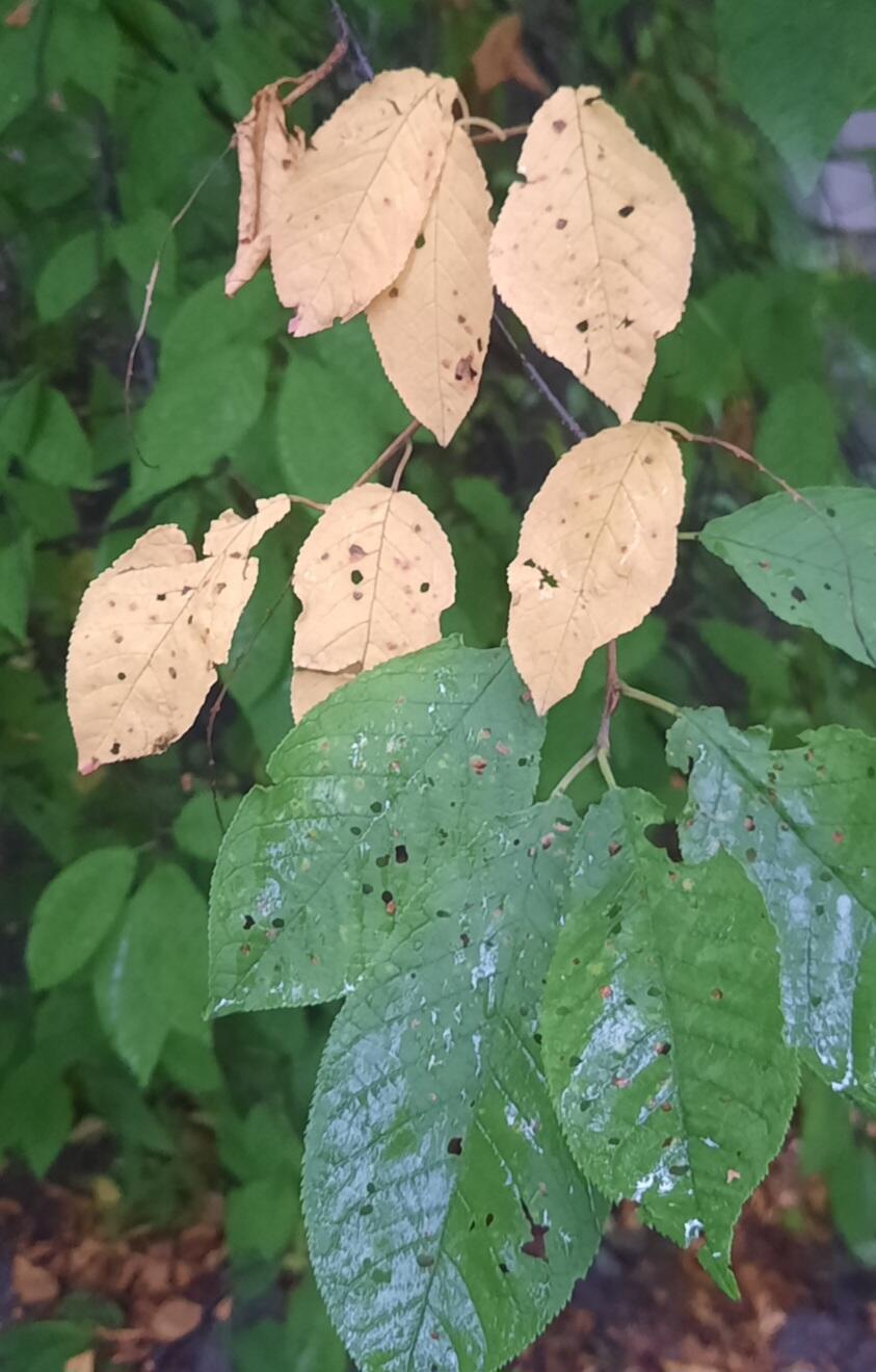 Тёплый сентябрьский день 