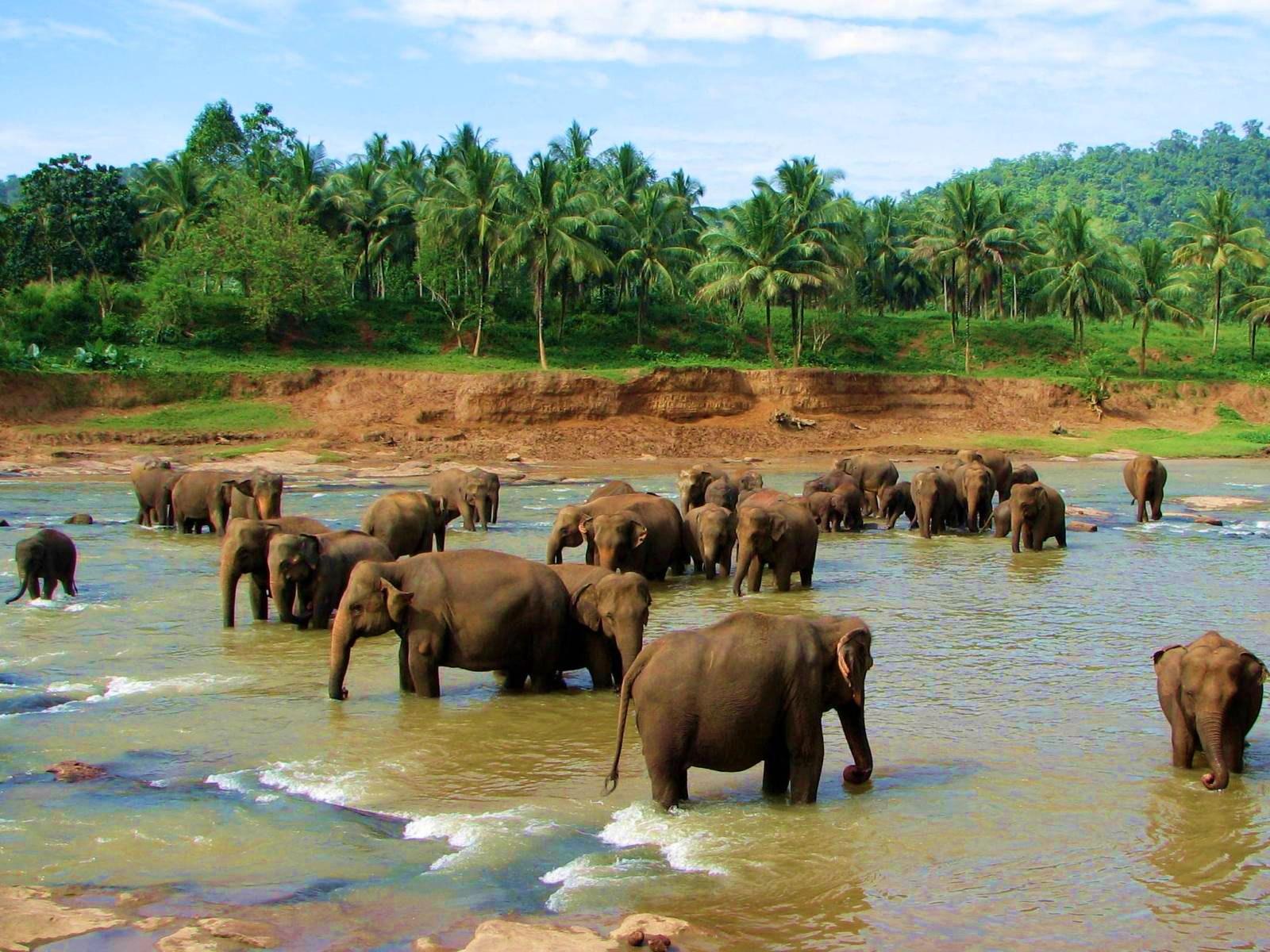 УВИДЕЛИ РЕКУ