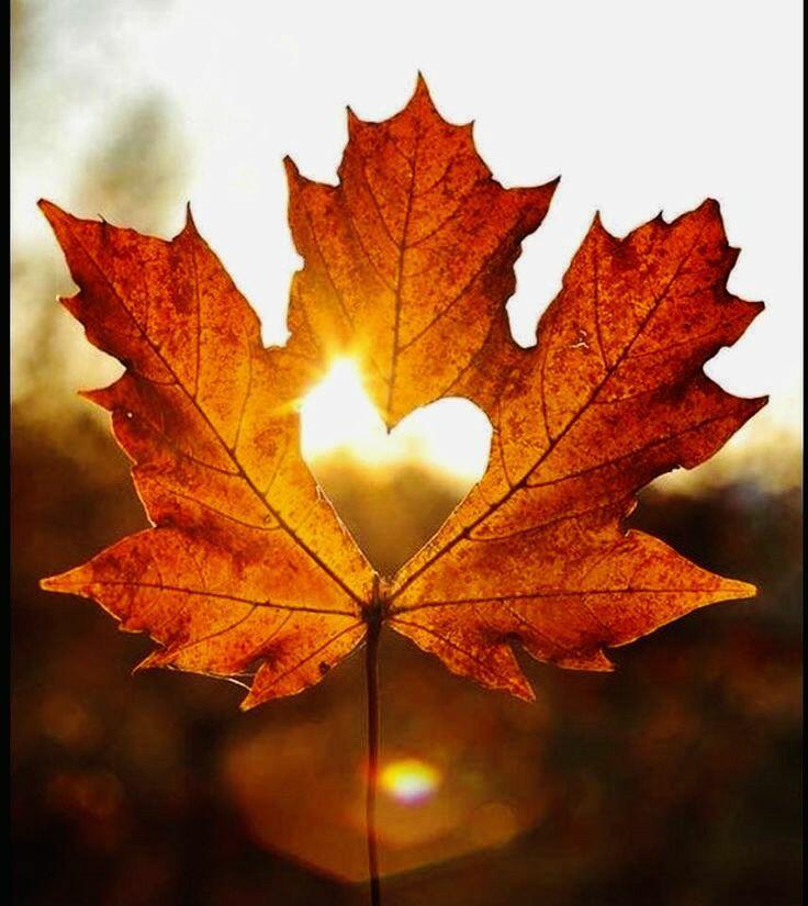 Осень пишет письма в никуда.