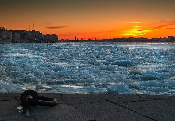 Невы державное теченье