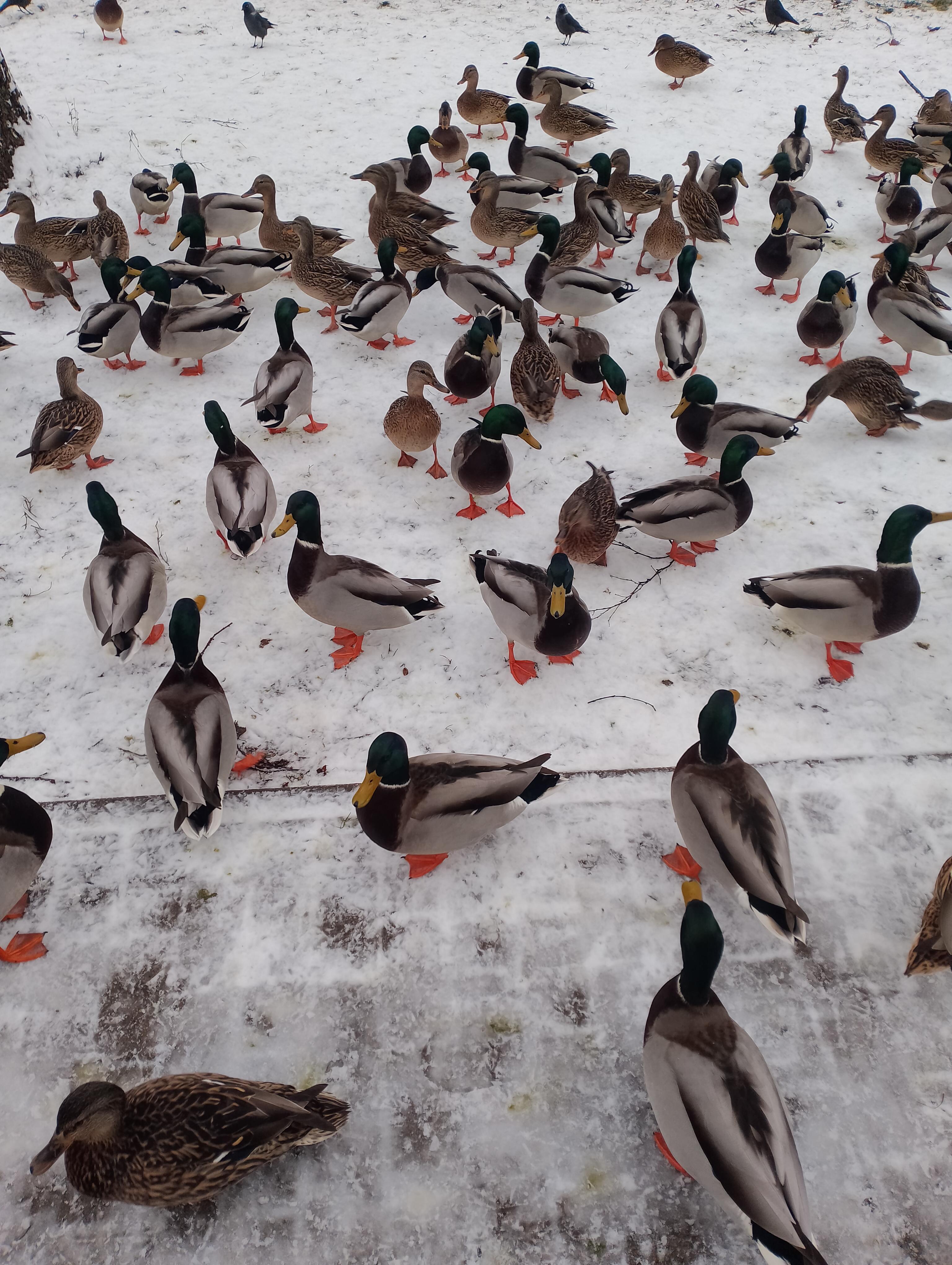 Мне б удачи