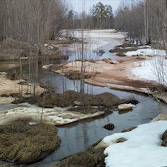 Расплескала весна серебро по ручьям