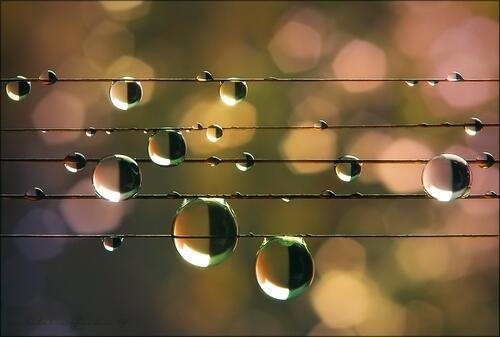 Музика дощу