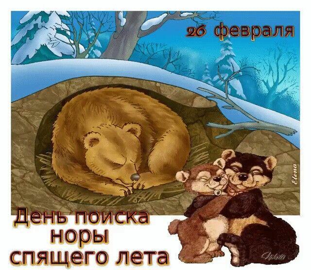 ГДЕ НОРА У ЛЕТА?