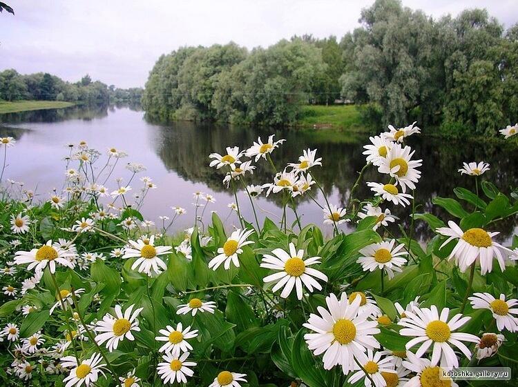 ❤️ ЛЮБОВЬ НЕ ТЕРПИТ ФАЛЬШИ И ВРАНЬЯ