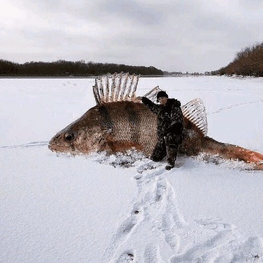 Как рыбак рыбаку