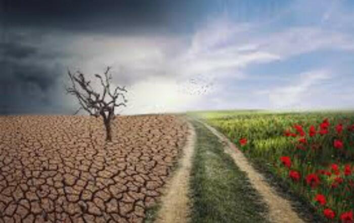 Последствия