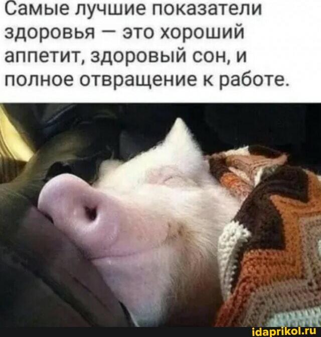 Я здоров. ДвуХстишье