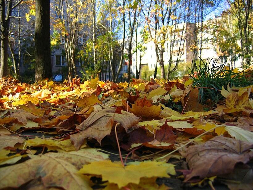 Город иллюзия