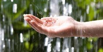 Ты погладил дождинки рукою