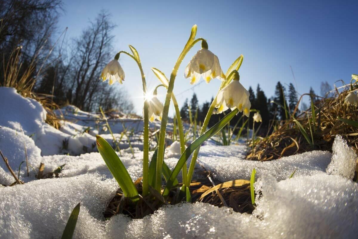 Юра , с тобой!) Март