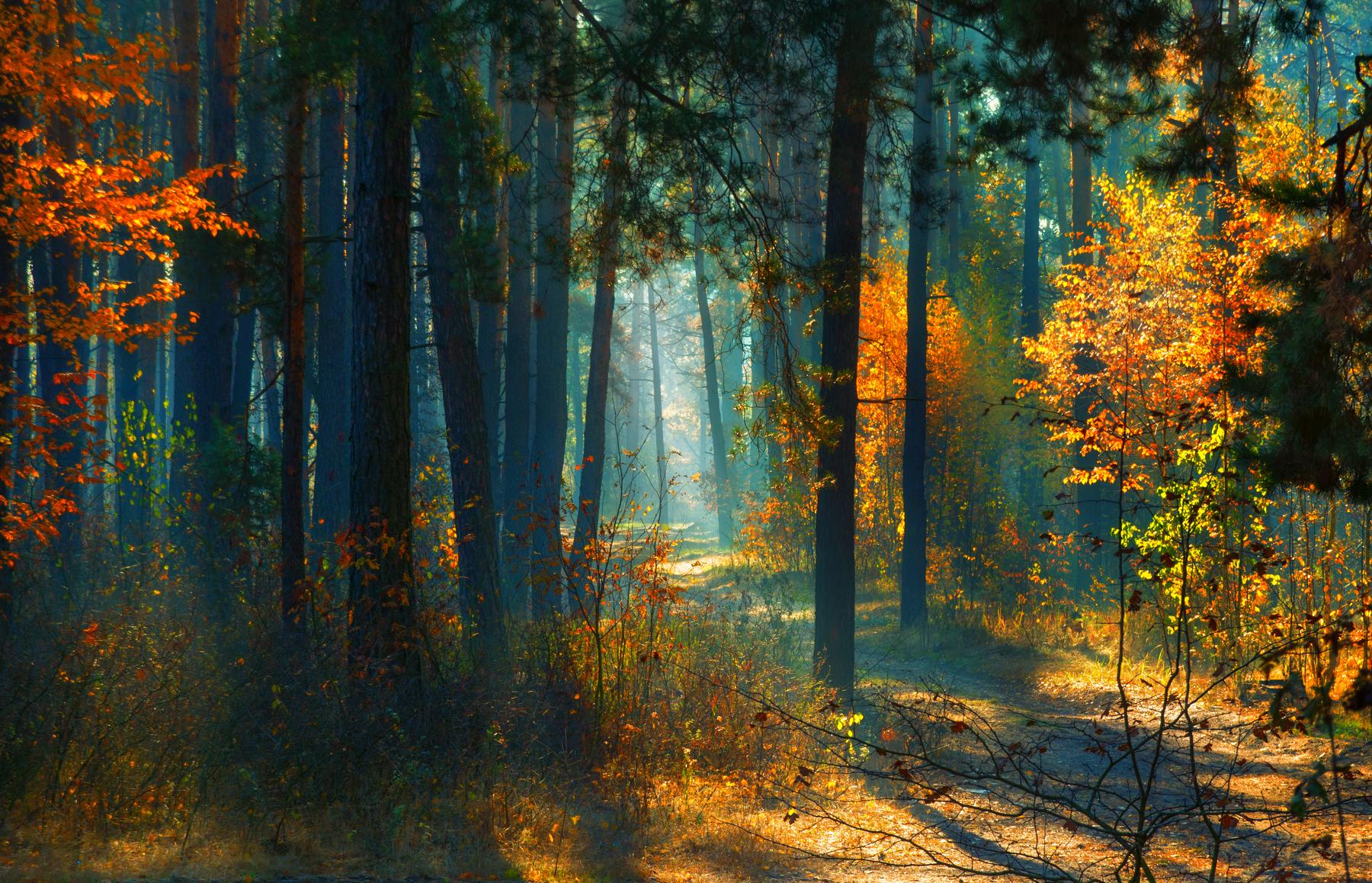 Мой потерянный смех ты хранишь в глубине...