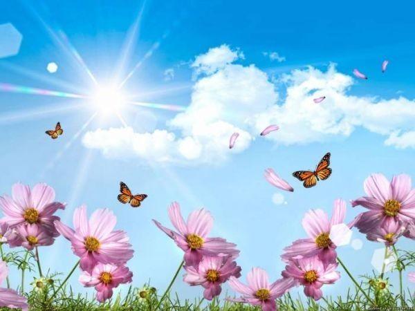 Мечта о мире без войны