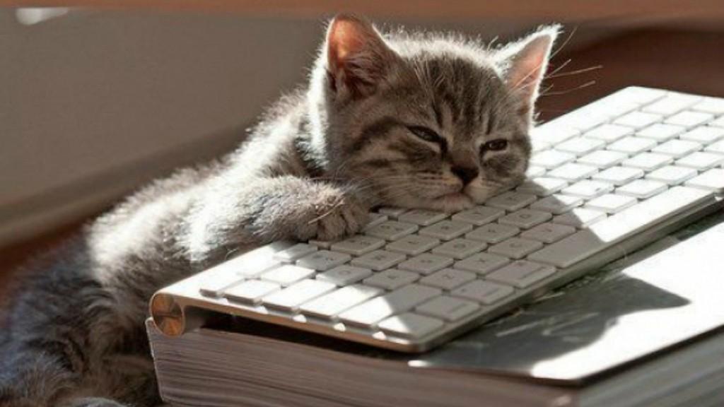 Что такое одиночество.