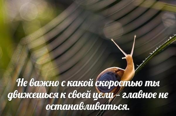 без рамок