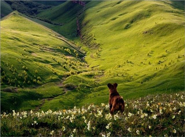 Я листом осенним...24.10.07.