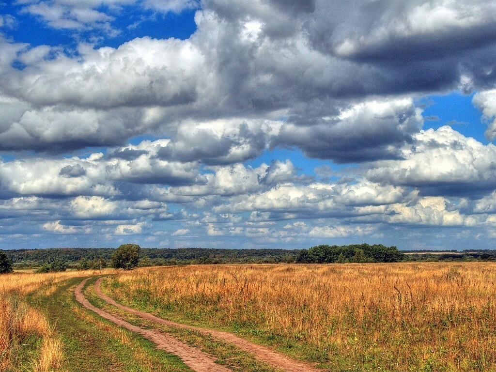 МНЕ Б ДОЖИТЬ  ДО ВЕСНЫ...